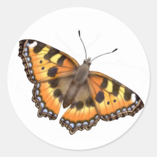 Kleine Tortoiseshell Schmetterlingsklemme Runder Aufkleber