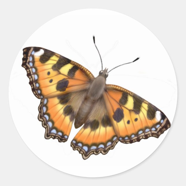 Kleine Tortoiseshell Schmetterlingsklemme Runder Aufkleber (Vorderseite)