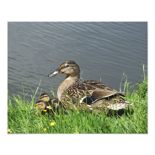 KLEINE UND KLEINKLEINE FOTODRUCK (Vorne)