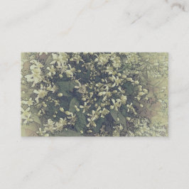 Kleine Vintage Blume von Clematis Visitenkarte