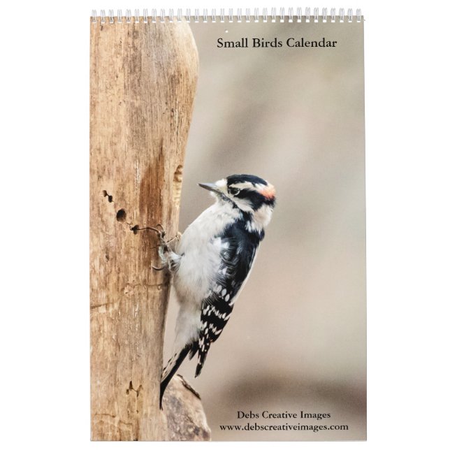 Kleine Vögel 2026 Kalender (Titelbild)