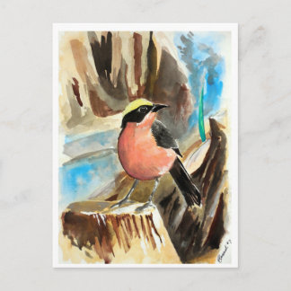 Kleine Vögel #7 Postkarte