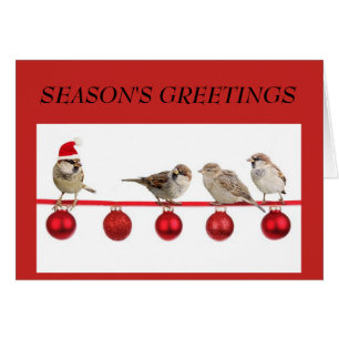 Kleine Vögel auf der Red Christmas Grußkarte