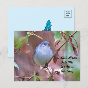 Kleine-Vogel-Geburtstagspostkarte Postkarte