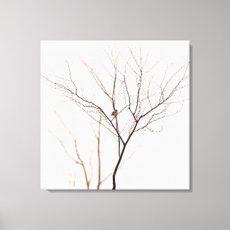 Kleine Vögel in Baumzweigen Minimalistische Natur Leinwanddruck