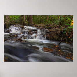 Kleine Wasserfälle auf dem Frühling Poster