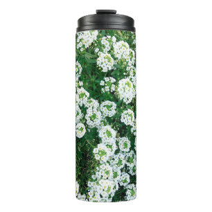 Kleine weiße Blume im Gras, tagsüber in Thermosbecher
