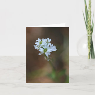Kleine weiße Blume Notecard Karte