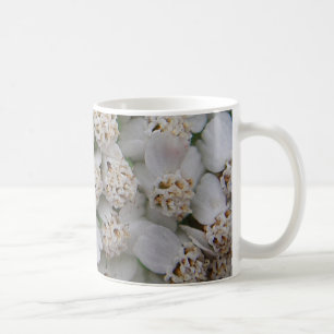 Kleine weiße Blume Tasse
