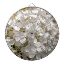 Kleine weiße Blumen