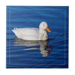 Kleine weiße Ente in geripptem Wasser Fliese