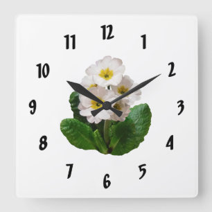 Kleine weiße Primrosen Quadratische Wanduhr