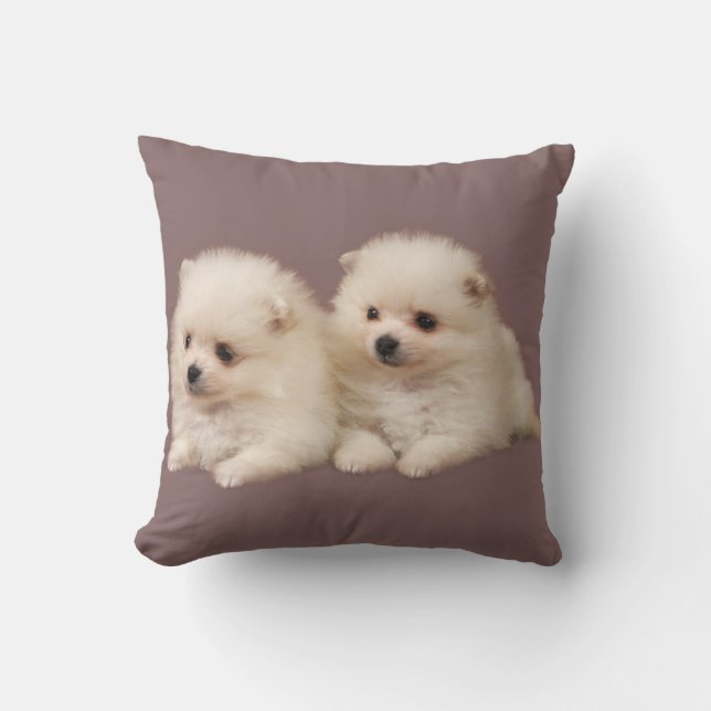 Kleine, weiße Spitz Welpen Kissen (Vorderseite)