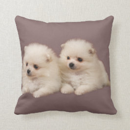 Kleine, weiße Spitz Welpen Kissen