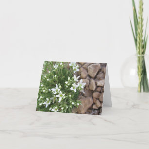 Kleine weiße Wildblumen und Felsen Notecard Karte