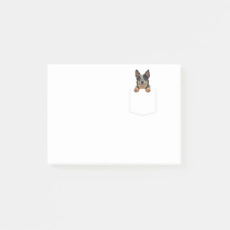 Kleiner australischer Rinderhund in der Tasche Post-it Klebezettel