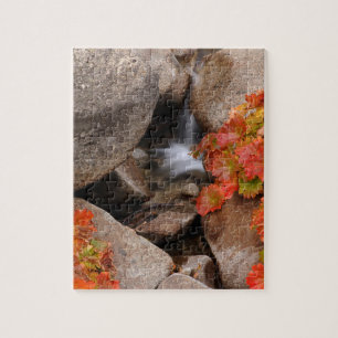 Kleiner Bach im Herbst, Kalifornien
