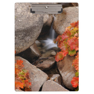 Kleiner Bach im Herbst, Kalifornien Klemmbrett