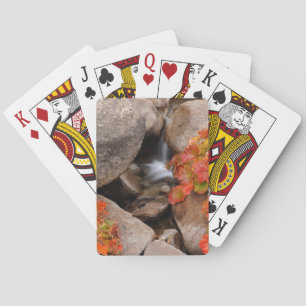 Kleiner Bach im Herbst, Kalifornien Spielkarten
