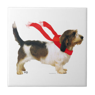 Kleiner Basset Griffon Vendée Fliese