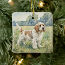 Kleiner Basset Griffon Vendeen - PBGV