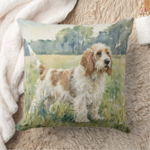 Kleiner Basset Griffon Vendeen - PBGV