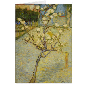 Kleiner Birnenbaum in Blüte Karte