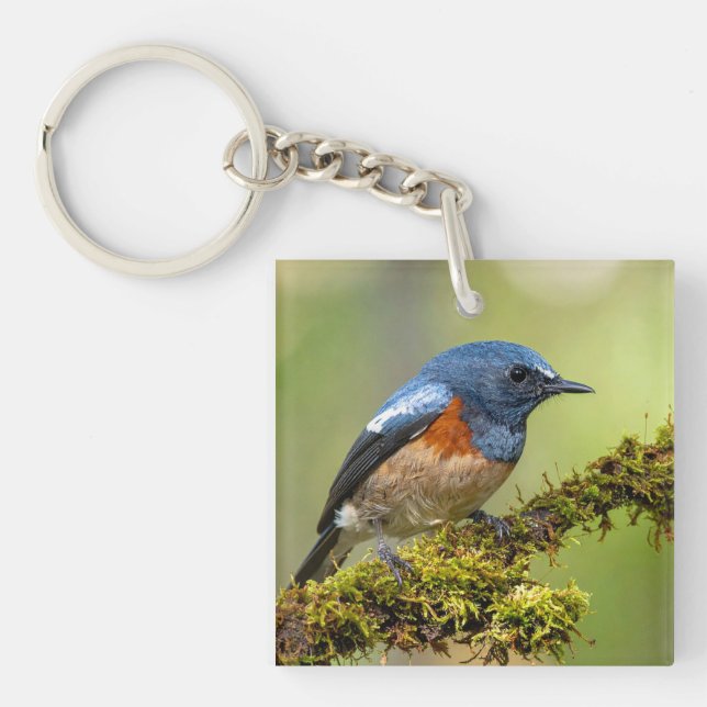 Kleiner blauer Vogel Schlüsselanhänger (Vorderseite)