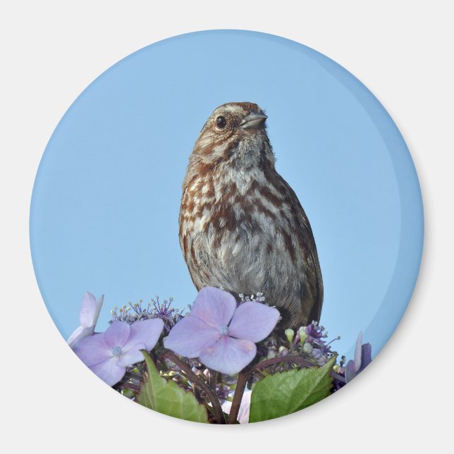 Kleiner brauner Singvogel-Druckmagnet Magnet (Vorne)