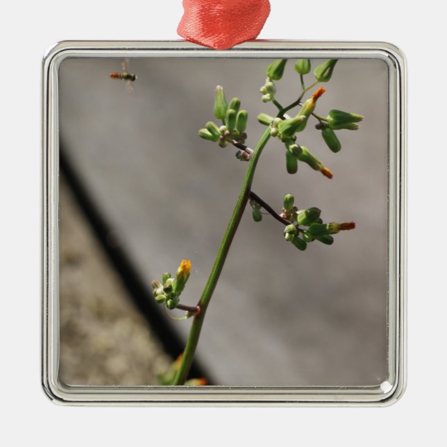 Kleiner Bug, kleine Blume Silbernes Ornament (Vorne)