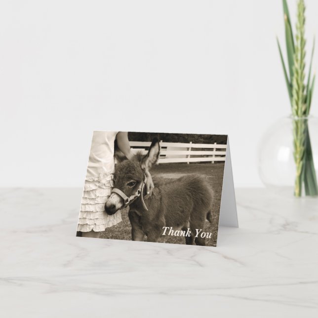 Kleiner Burro danken Ihnen zu kardieren Dankeskarte (Vorderseite)