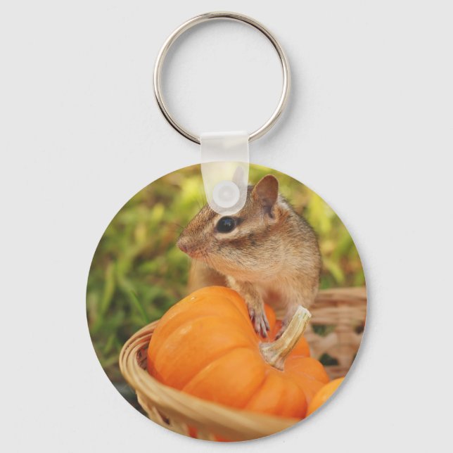 Kleiner Chipmunk mit Pumpkin Schlüsselanhänger (Vorderseite)