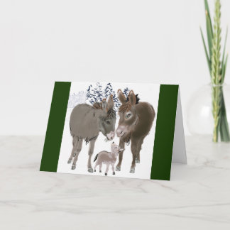 Kleiner Esel am Weihnachten