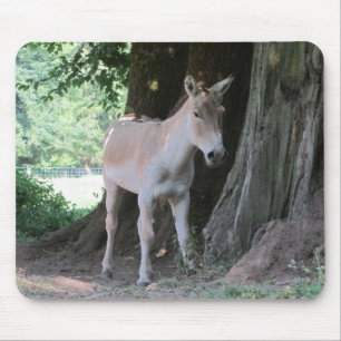 Kleiner Esel Mousepad