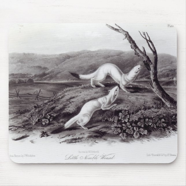 Kleiner flinker Weasel Mousepad (Vorne)