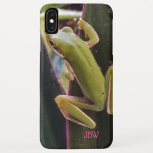 Kleiner Frosch im Garten Case-Mate iPhone Hülle