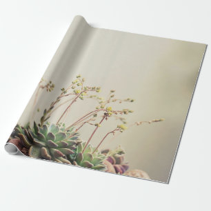 KLEINER GARTENERFOLG GESCHENKPAPIER