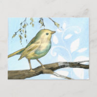 Kleiner Gelbbvogel auf einem Zweig nach oben