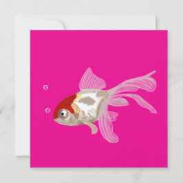 Kleiner Goldfisch - 