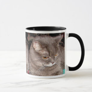 KLEINER GRAUCAT TASSE