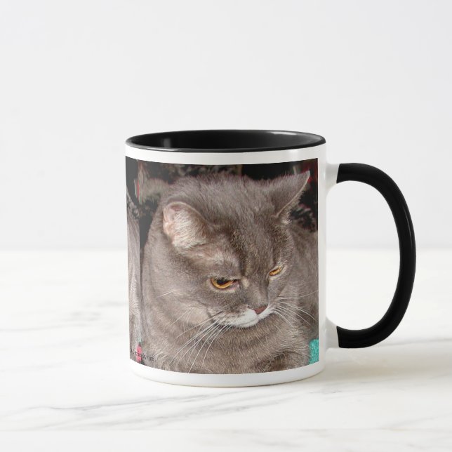 KLEINER GRAUCAT TASSE (Rechts)