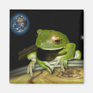 KLEINER GRÜNER FROSCH MAGNET
