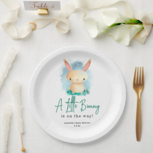 Kleiner Hase - Babyparty  Pappteller