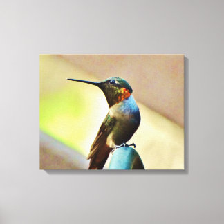 kleiner Hummingvogel Leinwanddruck