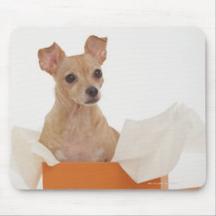 Kleiner Hund, der in den Geschenkboxen sitzt Mousepad