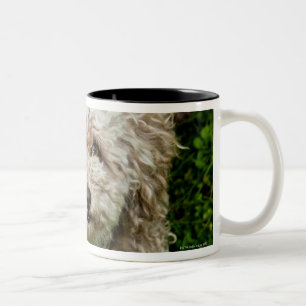 Kleiner Hund, der oben Kamera betrachtet Zweifarbige Tasse