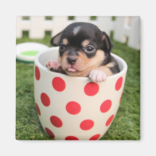 Kleiner Hund in der Tasse Magnet (Vorne)