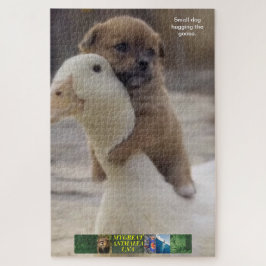 Kleiner Hund Rätsel, umarmt die Gans.