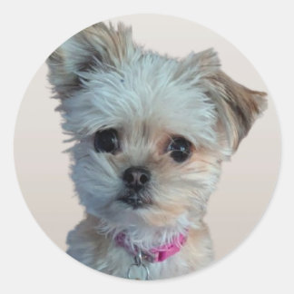 Kleiner Hundeaufkleber Runder Aufkleber