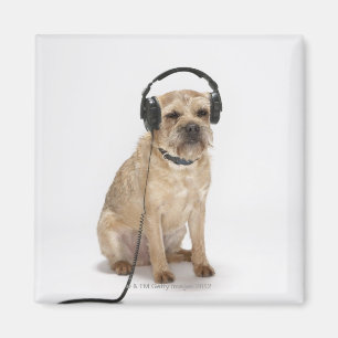 Kleiner Hundetragende Kopfhörer Magnet